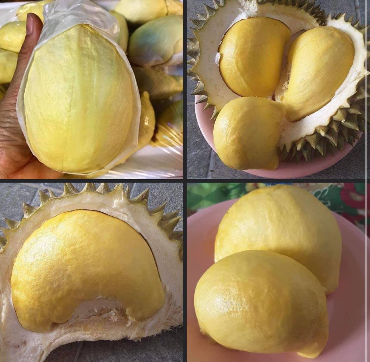 cambodian durians