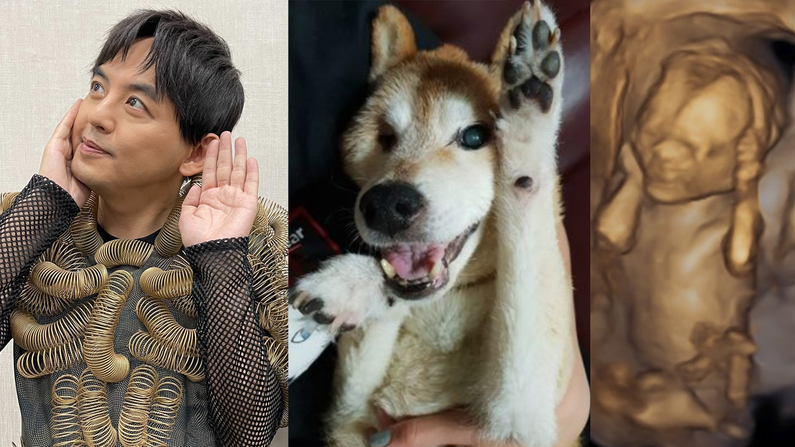 Do you see the resemblance?