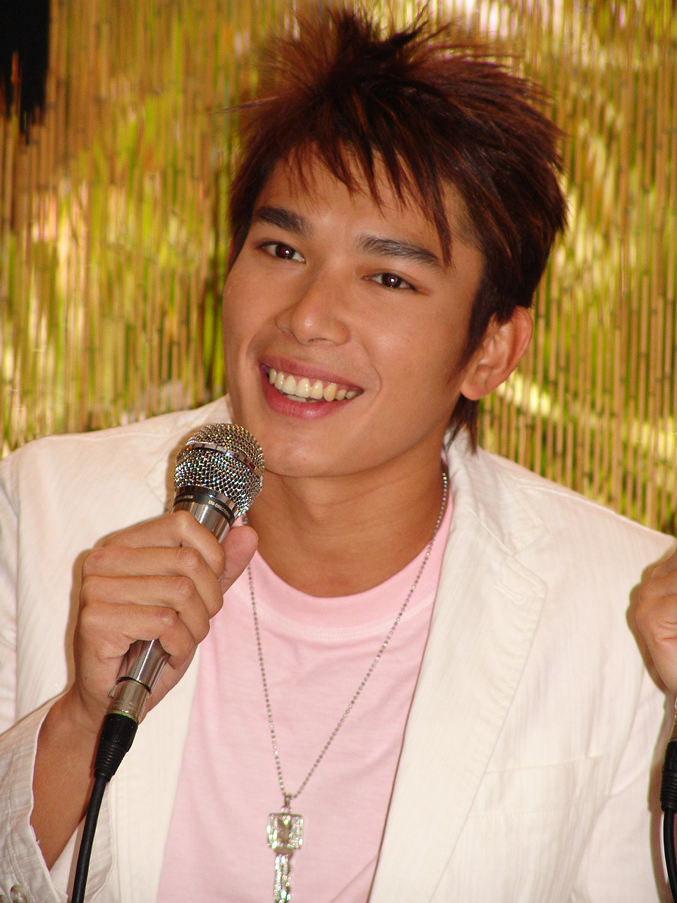 Happily Ever After press conference (2007)