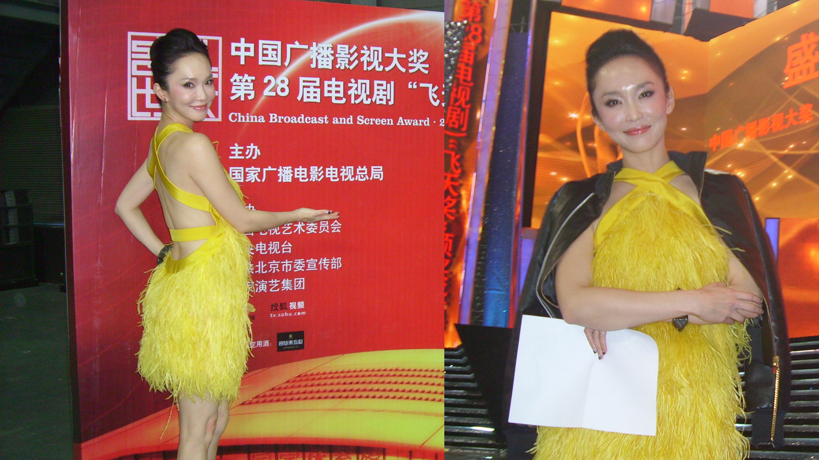 China TV Awards (2011)