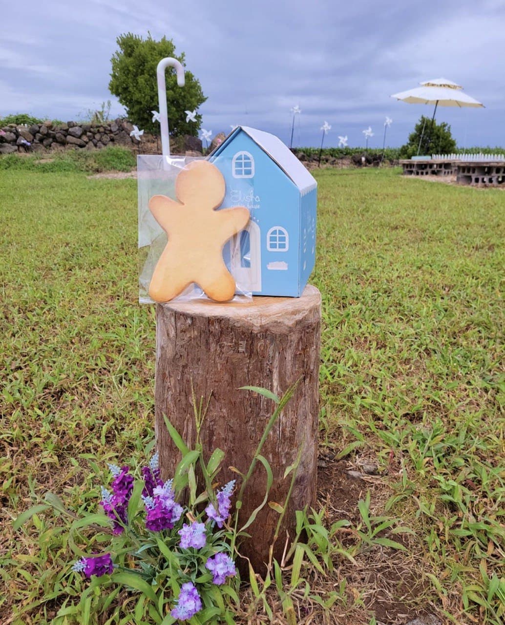 House-shaped takeaway boxes