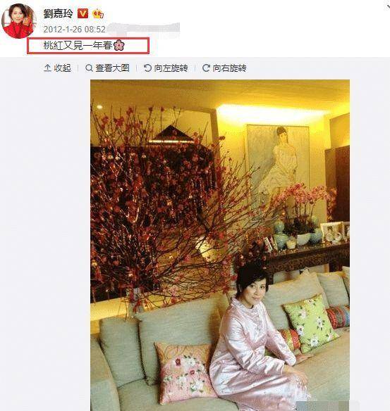 This was the first CNY plum blossom pic Carina posted in 2012