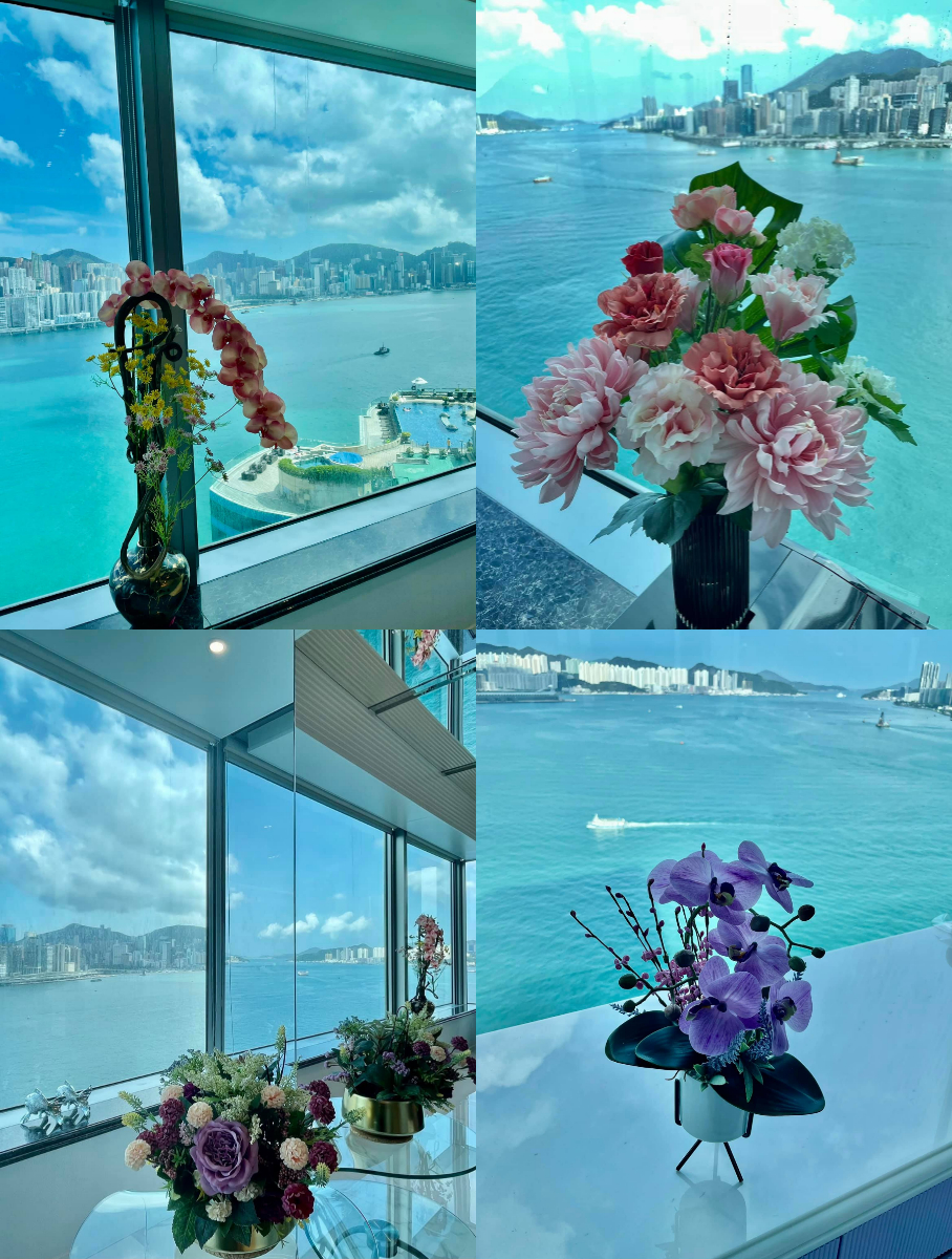 Check out that view from her house!