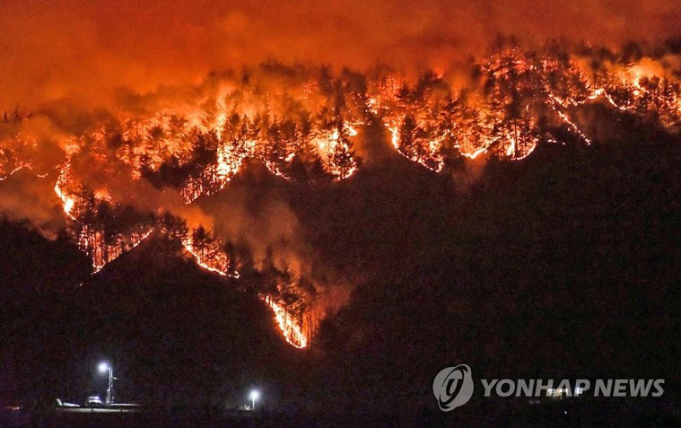 The fire has destroyed nearly 6,000 hectares of woodland