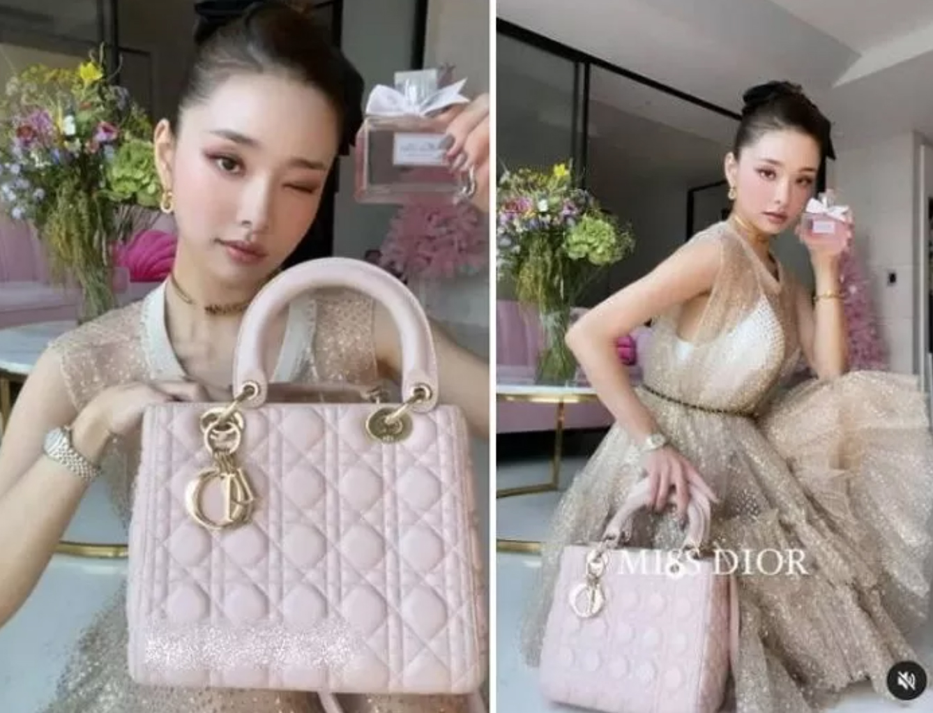 Authentic dior online bag