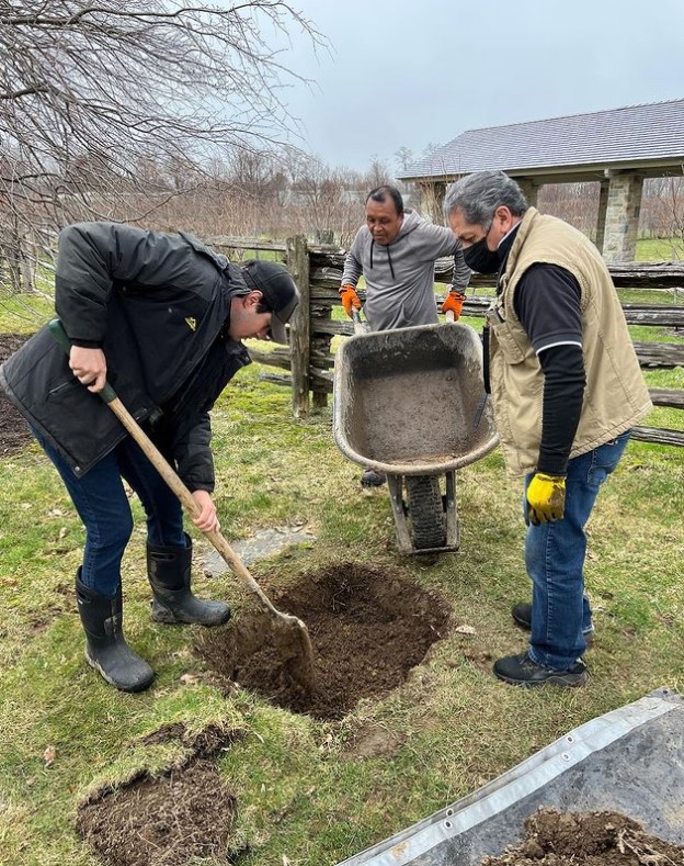 burying princess peony