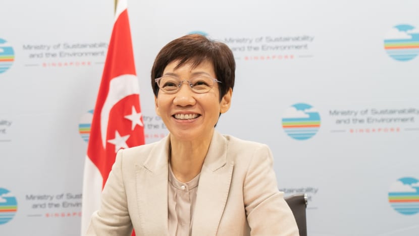 Sustainability and Environment Minister Grace Fu to attend UN climate change meetings in Italy