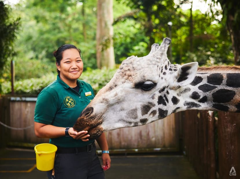 This 25-year-old filmmaking student veered off the beaten track to care for rhinos, giraffes and zebras