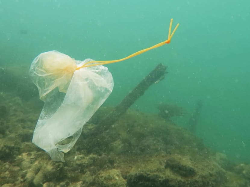 A plastic bag found in the waters of Singapore during a dive clean-up by Our Singapore Reefs. A plastic bag found in the waters of Singapore during a dive clean-up by Our Singapore Reefs.