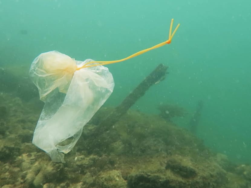 A plastic bag found in the waters of Singapore during a dive clean-up by Our Singapore Reefs.