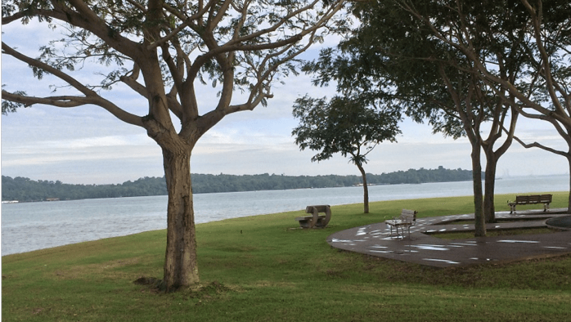 Singapore’s average sea level now 14cm higher than ‘pre-1970 levels’: Met Service Singapore’s average sea level now 14cm higher than ‘pre-1970 levels’: Met Service