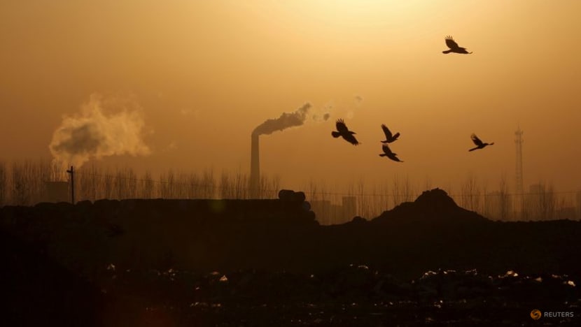 Asia's factory activity slows in May as China COVID-19 curbs weigh Asia's factory activity slows in May as China COVID-19 curbs weigh