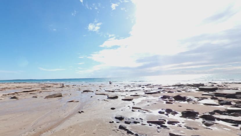 Man dies in shark attack in Western Australia Man dies in shark attack in Western Australia