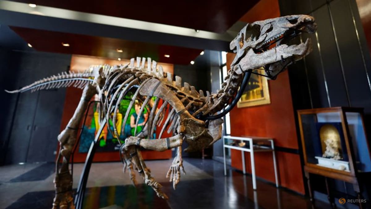 small-dinosaur-fit-for-the-living-room-to-be-sold-at-paris-auction