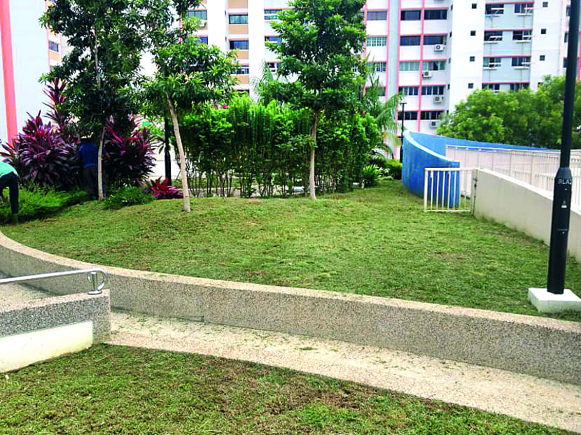 Pruned grass at the rooftop garden of Block 921A in Tampines. The town council will review its pruning schedule as part of its estate-maintenance efforts. Photo: Tampines Town Council