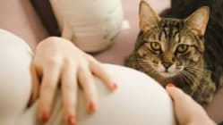 Miliki kucing semasa hamil mungkin sebabkan kemurungan selepas bersalin?