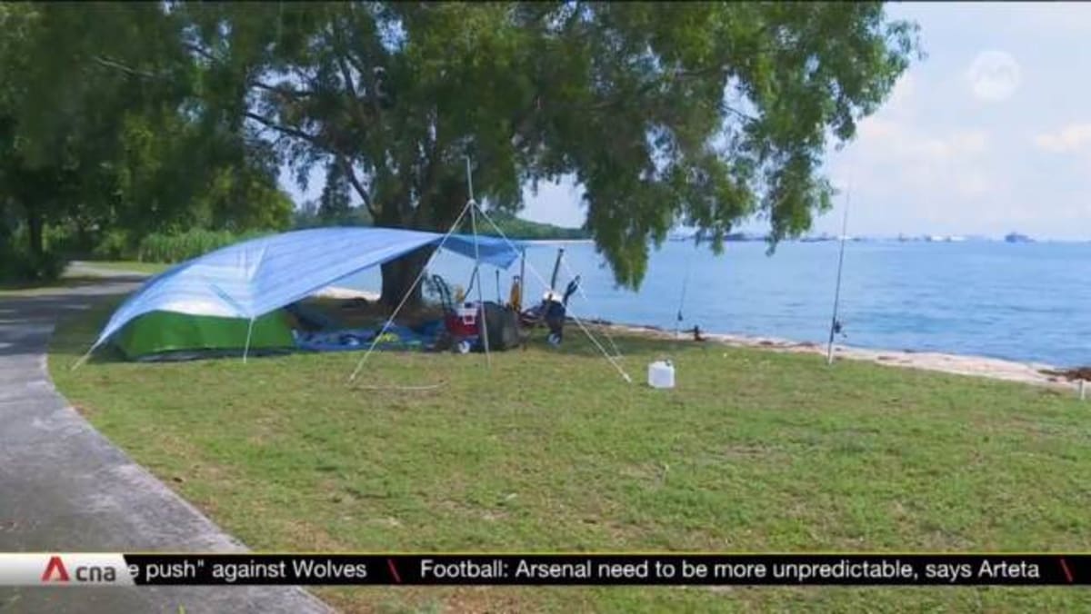 Eco-friendly experiences in Singapore help tackle climate change
