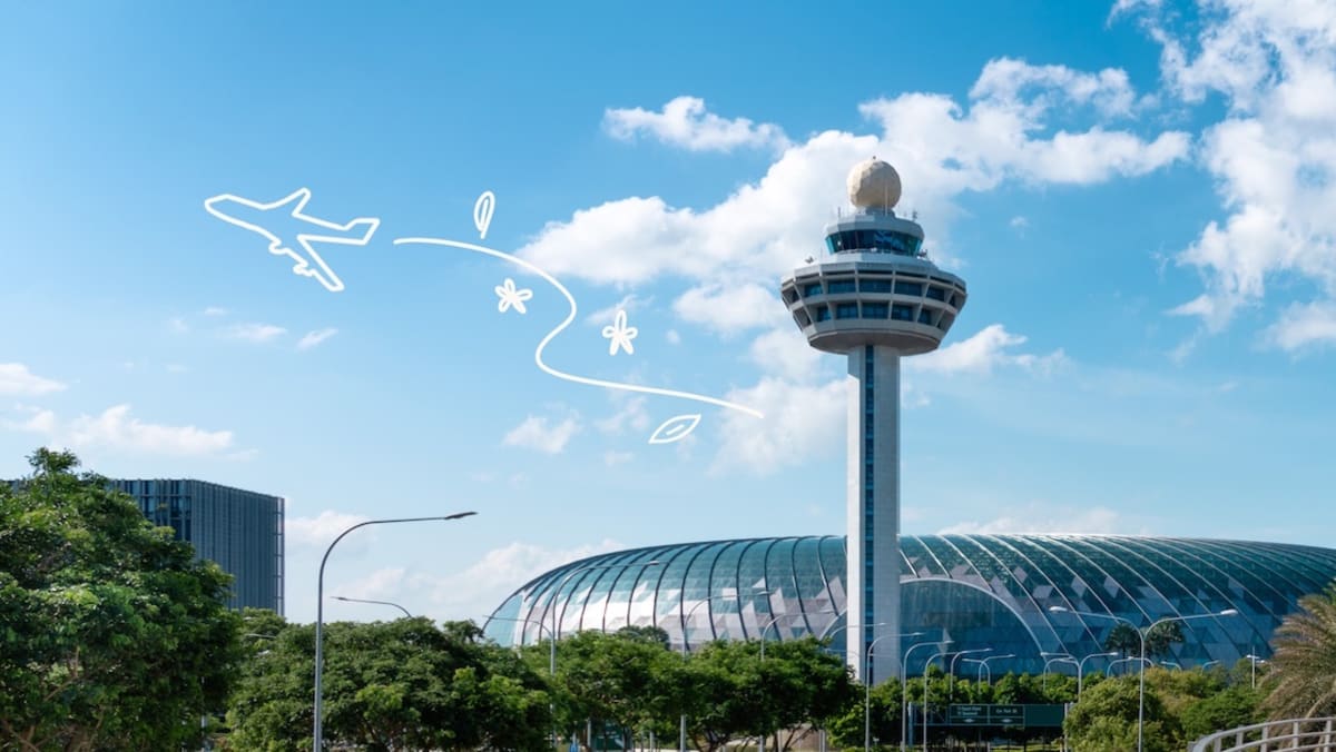 Changi Airport travellers can now offset emissions from air travel