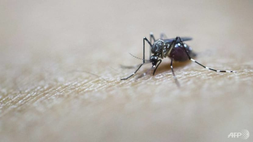 First West Nile virus infection found in Netherlands: Health authorities First West Nile virus infection found in Netherlands: Health authorities