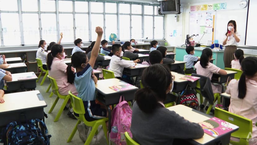 insight hk teachers 9