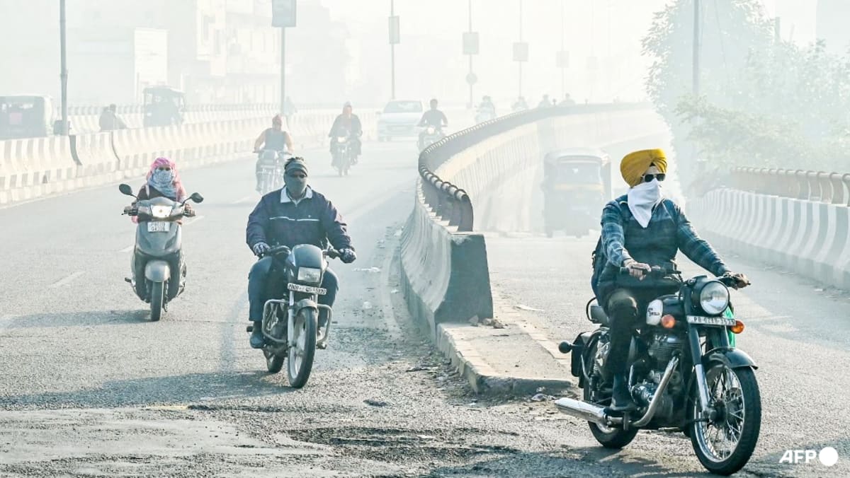 Illegal farm fires fuel Indian capital’s smog misery Illegal farm fires fuel Indian capital’s smog misery