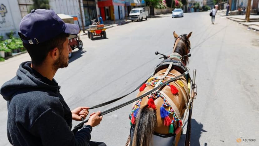 'Horse diapers' keep Gaza streets clean