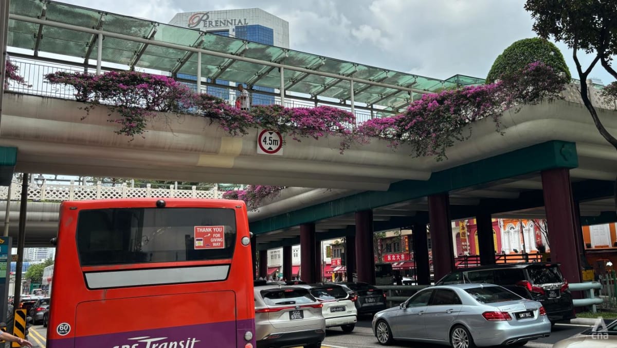 Lorry driver fined for hitting Chinatown link bridge with unretracted crane