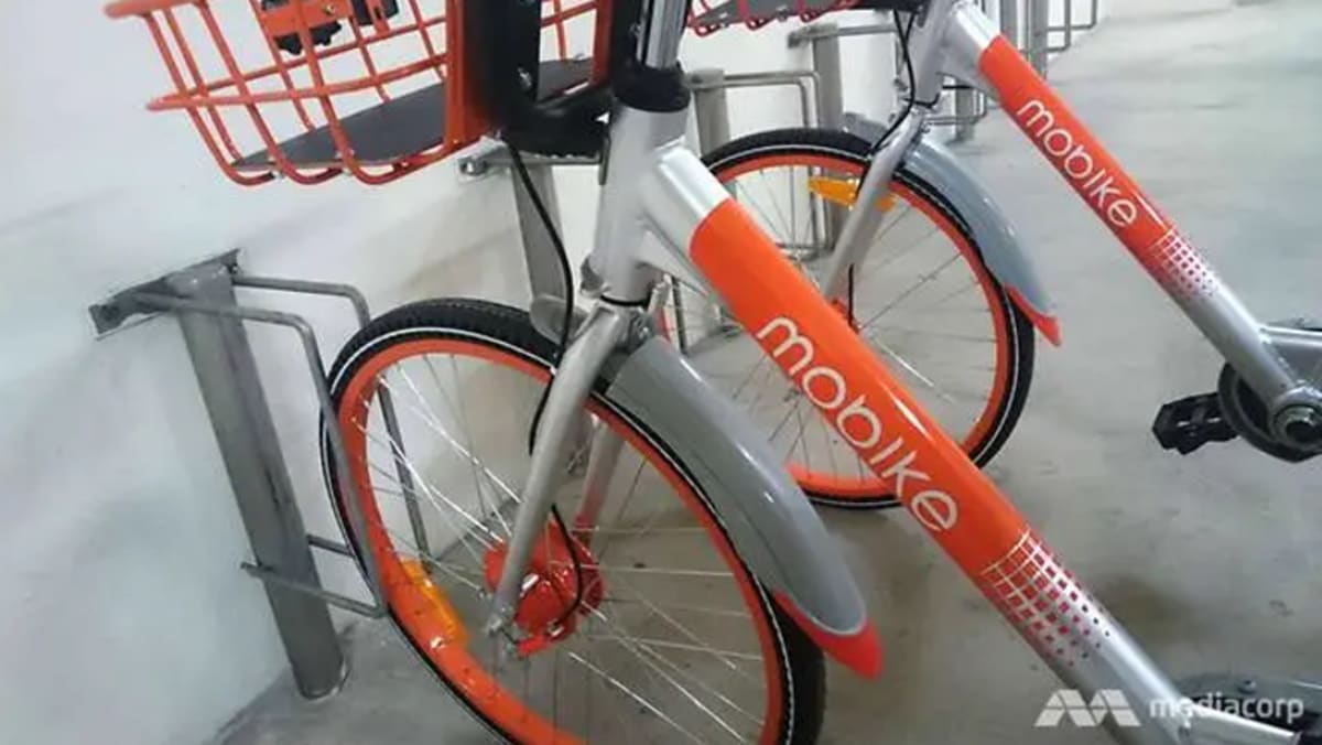 Mobike lta shop