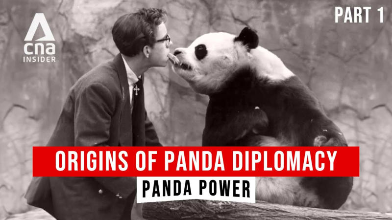 panda diplomacy