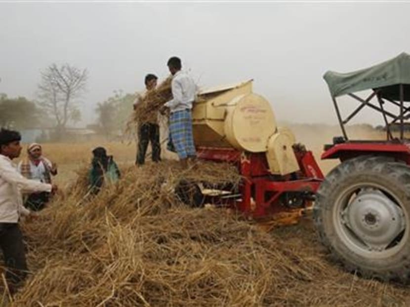 Unseasonal rain causes heartache for many Indian farmers