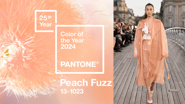 Pantone 2024年度代表色出炉　温柔疗愈的Peach Fuzz如何穿出气质？