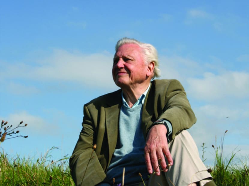 Why David Attenborough, at 90, is the sexiest man on earth