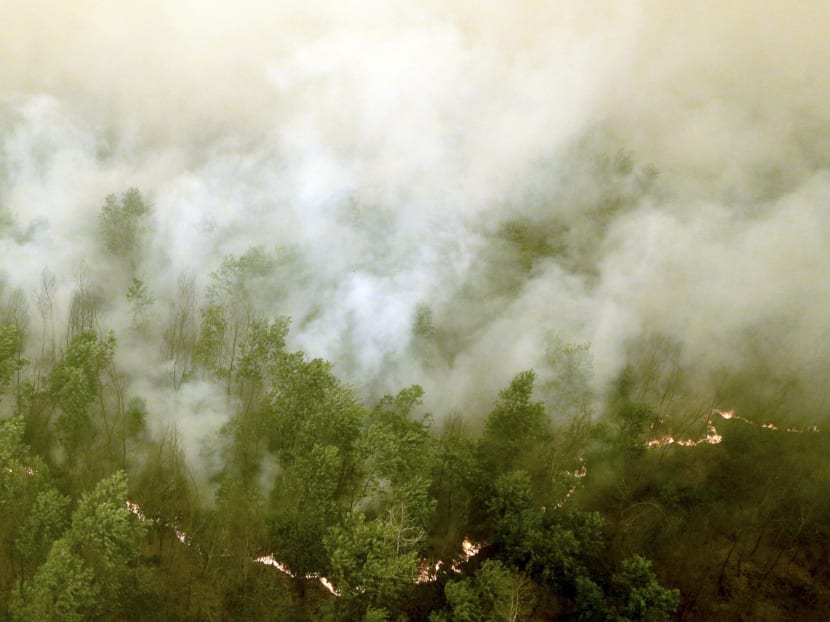 Thick smoke rises as a fire burns in a forest at Ogan Komering Ilir Regency, Indonesia's South Sumatra province Oct 20, 2015. Photo: Reuters