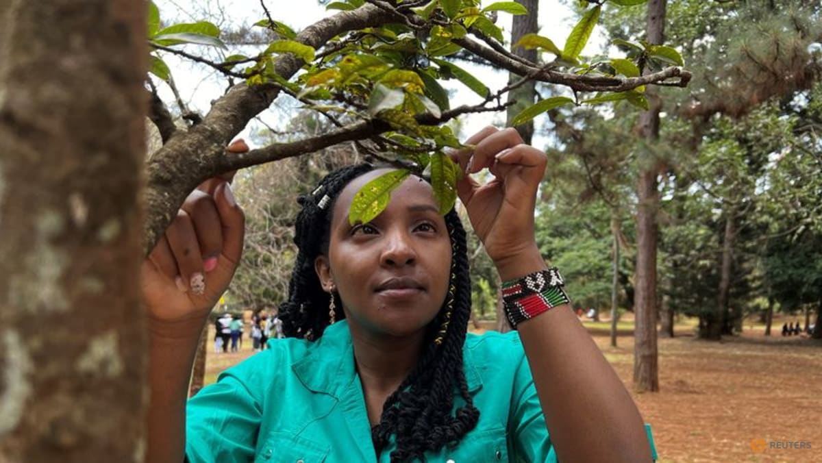 Young Kenyan tree activist speaks up for Africa at COP27 TODAY