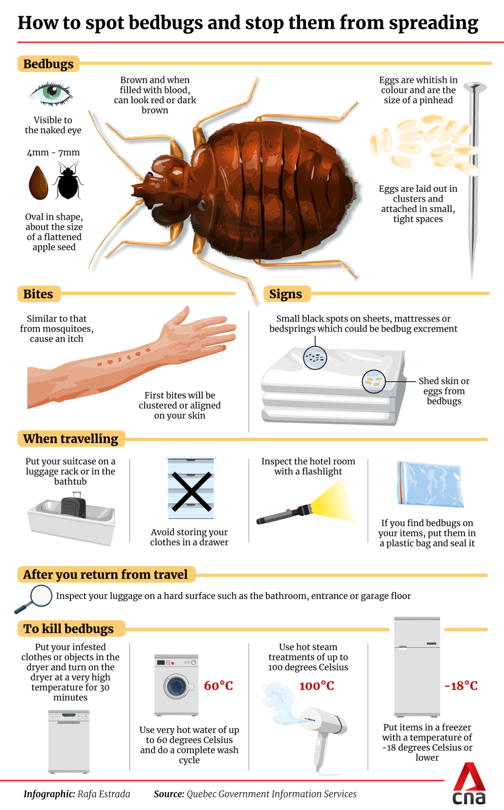bed bug prevention travel