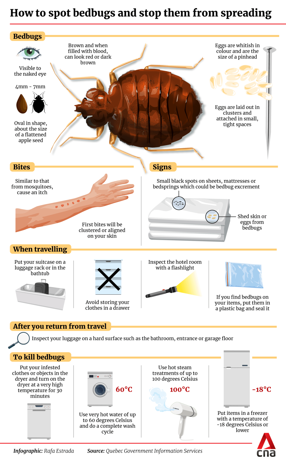 CNA Explains How To Check For Bedbugs When You Travel And Avoid cna-explains-how-to-check-for-bedbugs-when-you-travel-and-avoid