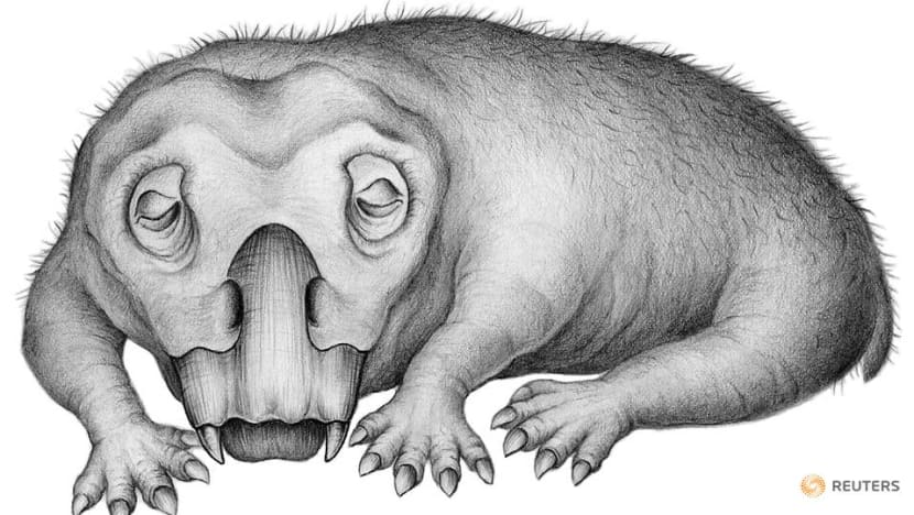 Mammal-like Triassic creature beat polar winters by hibernating Mammal-like Triassic creature beat polar winters by hibernating