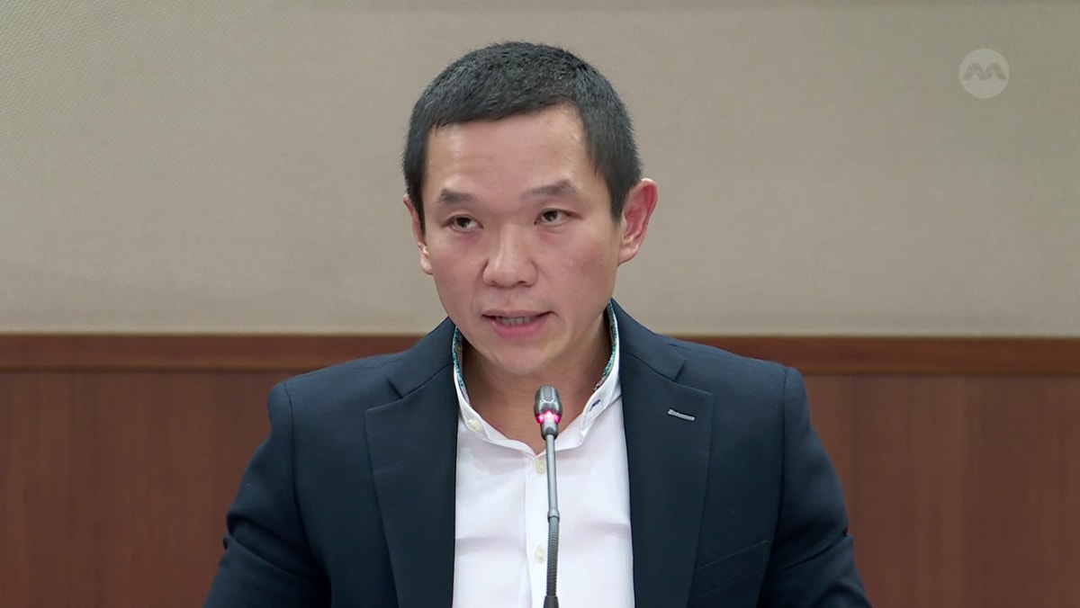 Committee of Supply 2023 debate, Day 4 Koh Lian Pin on domestic