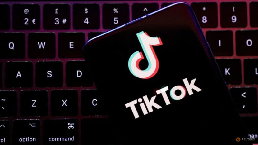 US lawmakers unveil bipartisan bid to ban China's TikTok US lawmakers unveil bipartisan bid to ban China's TikTok