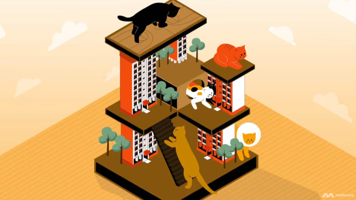 The Big Read: With the ban in HDB flats set to be lifted, can pet cats coexist in harmony with residents?