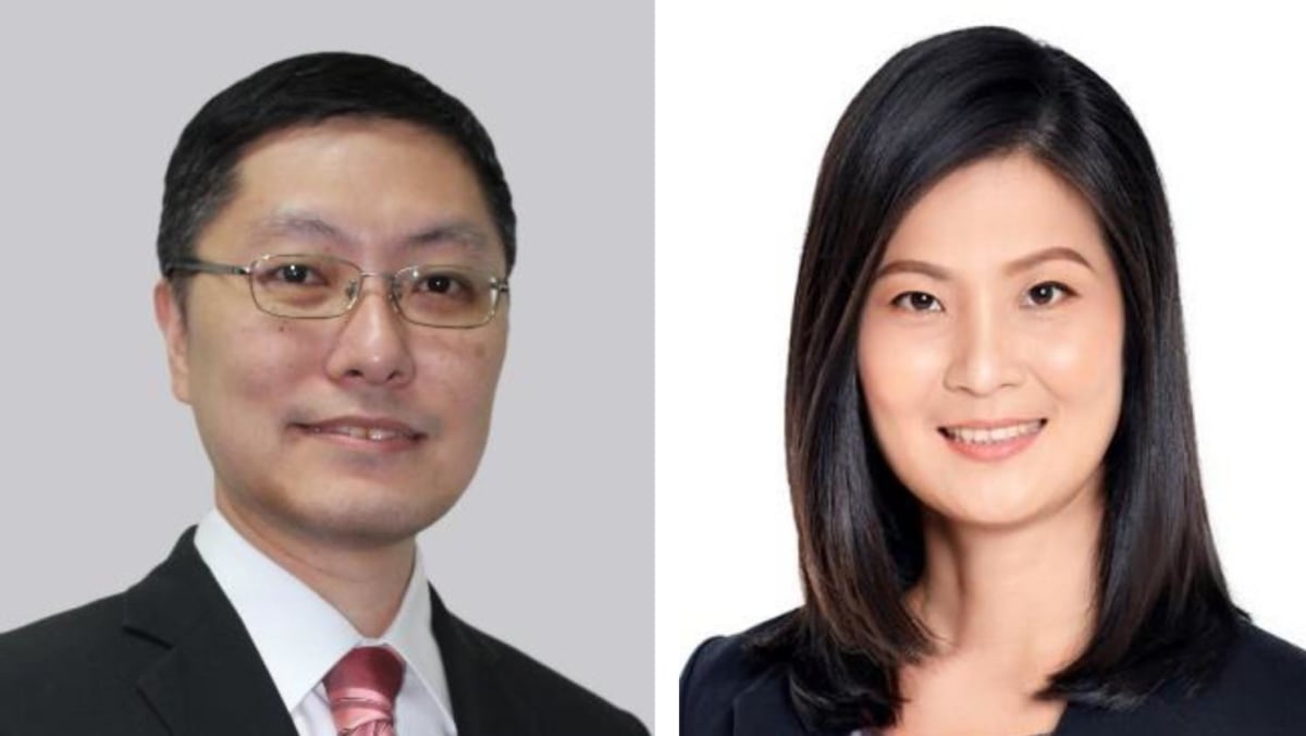 New chief government appointed to Maritime and Port Authority of Singapore