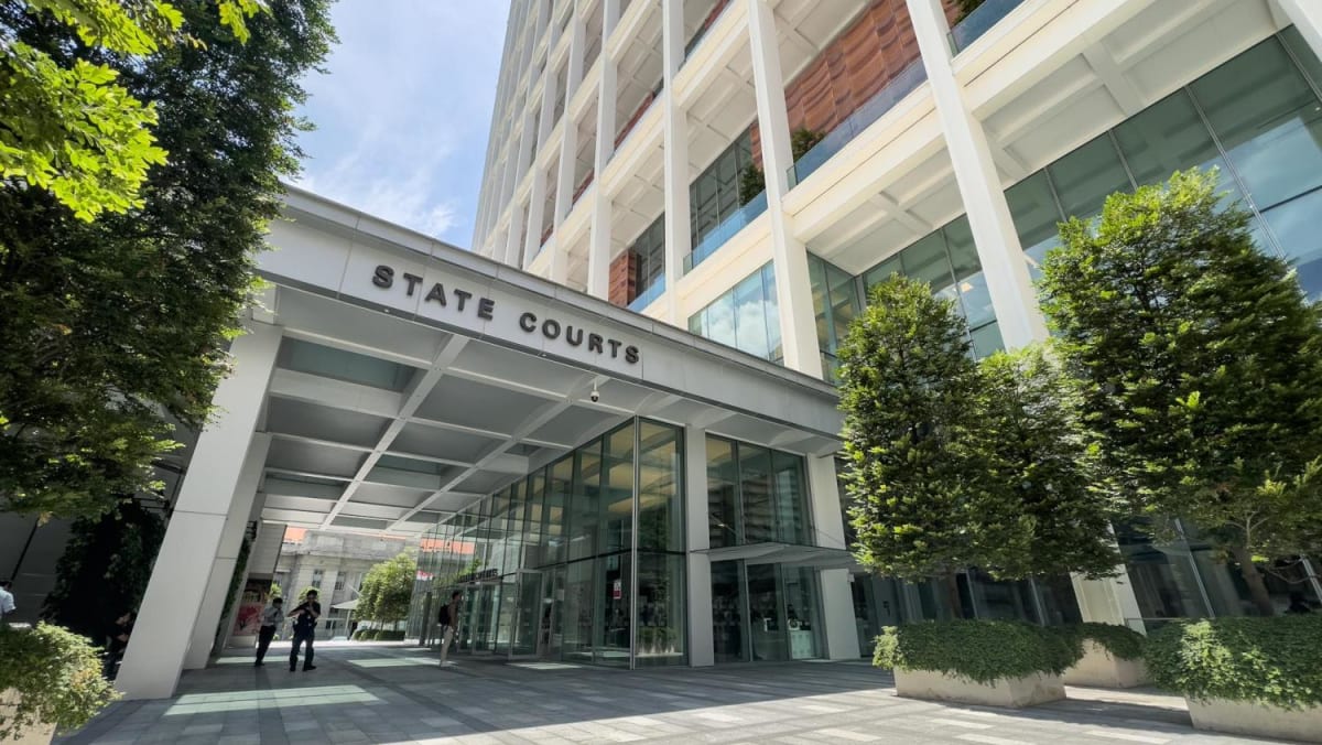 Jail for repeat molester who touched woman's chest while she was sleeping on MRT train - Vimarsana News