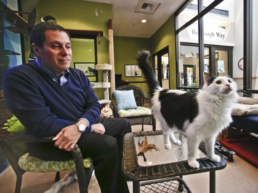 Dr Gary Weitzman, President and Chief Executive Officer of the San Diego Humane Society and SPCA and author of the new National Geographic book How to Speak Cat, observes the actions of Pepper, a black and white resident of the Humane Society's shelter. Photo: AP