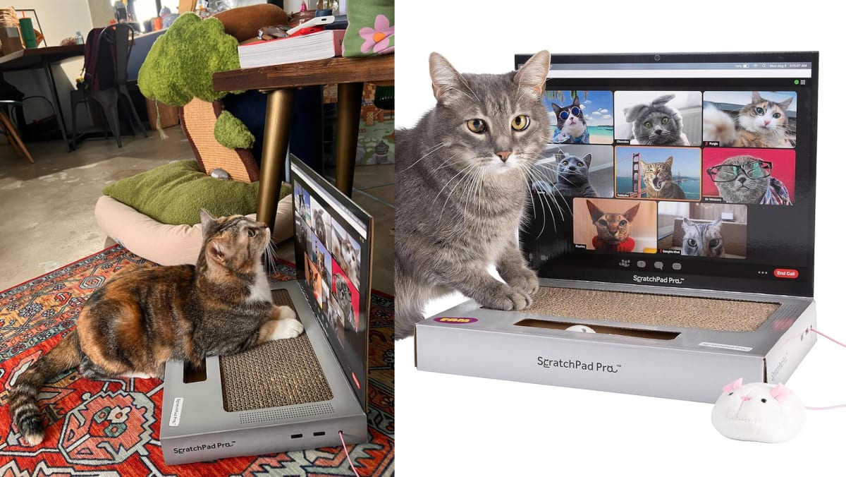 Laptop cat scratching pad cheap