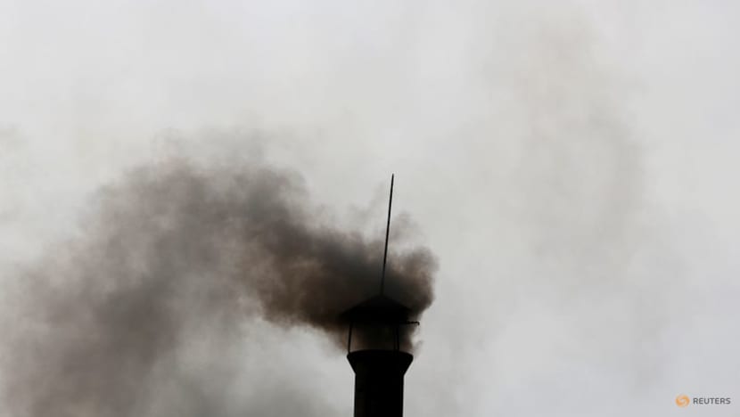 More companies in Asia seek carbon offsets after COP26: Industry executive More companies in Asia seek carbon offsets after COP26: Industry executive
