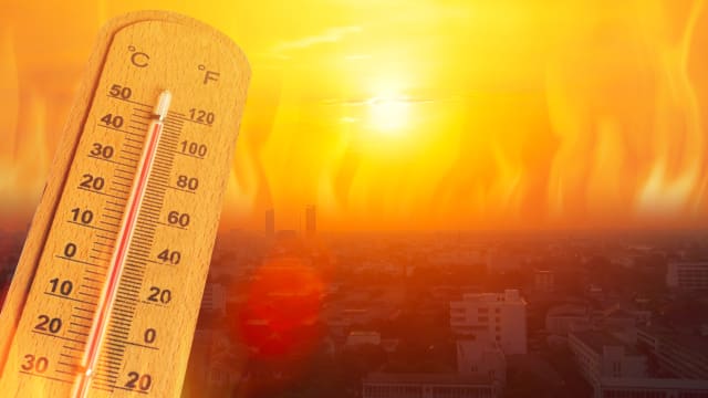 世界气象组织：7月初是全球有记录以来最热一周