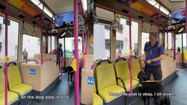 视障人士分享导盲犬如何协助乘搭巴士视频 网赞：涨知识了