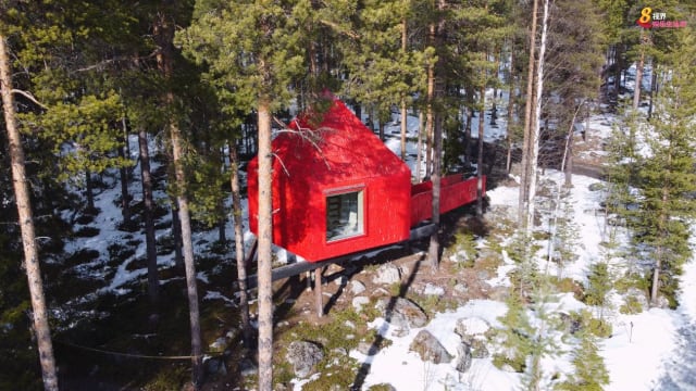 踏入瑞典松树林　实现住树屋的儿时梦