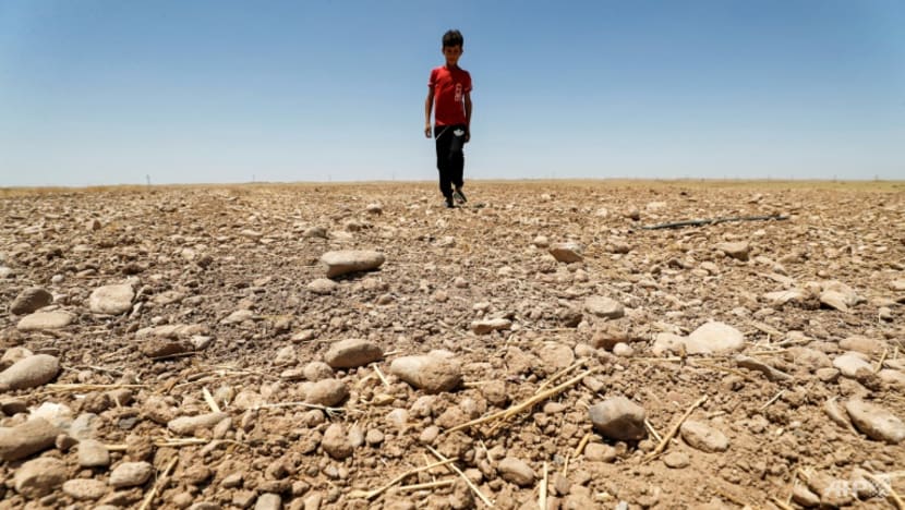 'Dangerous' heatwaves likely to grip the tropics daily by 2100: Study 'Dangerous' heatwaves likely to grip the tropics daily by 2100: Study