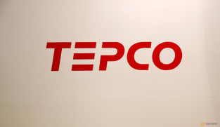 Tepco shares down more than 5% on reported interest in bid for Toshiba